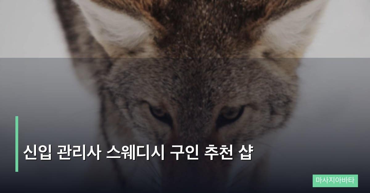 신입 관리사 스웨디시 구인 추천 샵