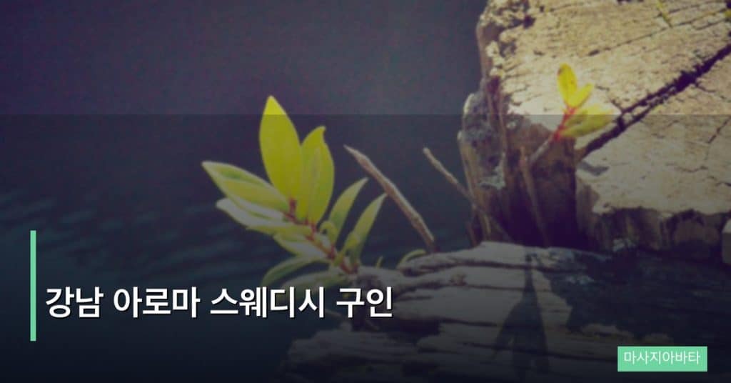 강남 아로마 스웨디시 구인