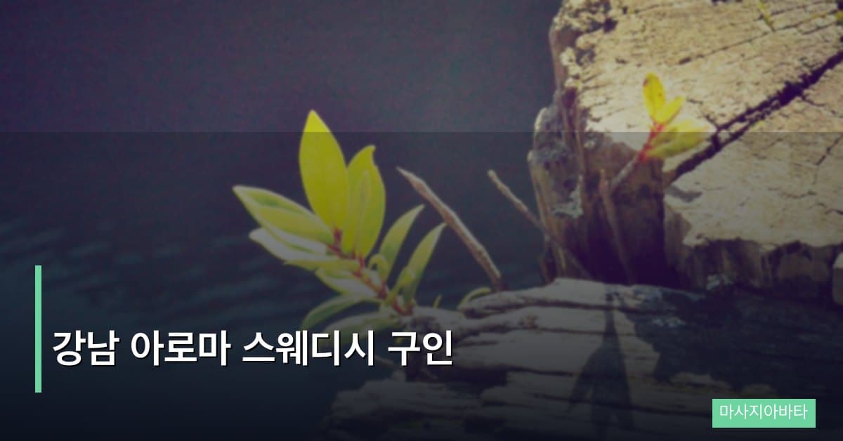 강남 아로마 스웨디시 구인